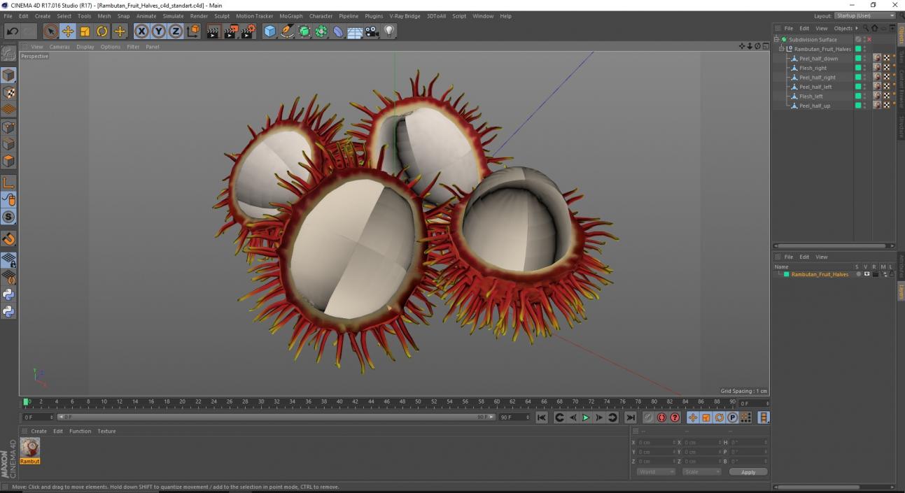 3D Rambutan Fruit Halves