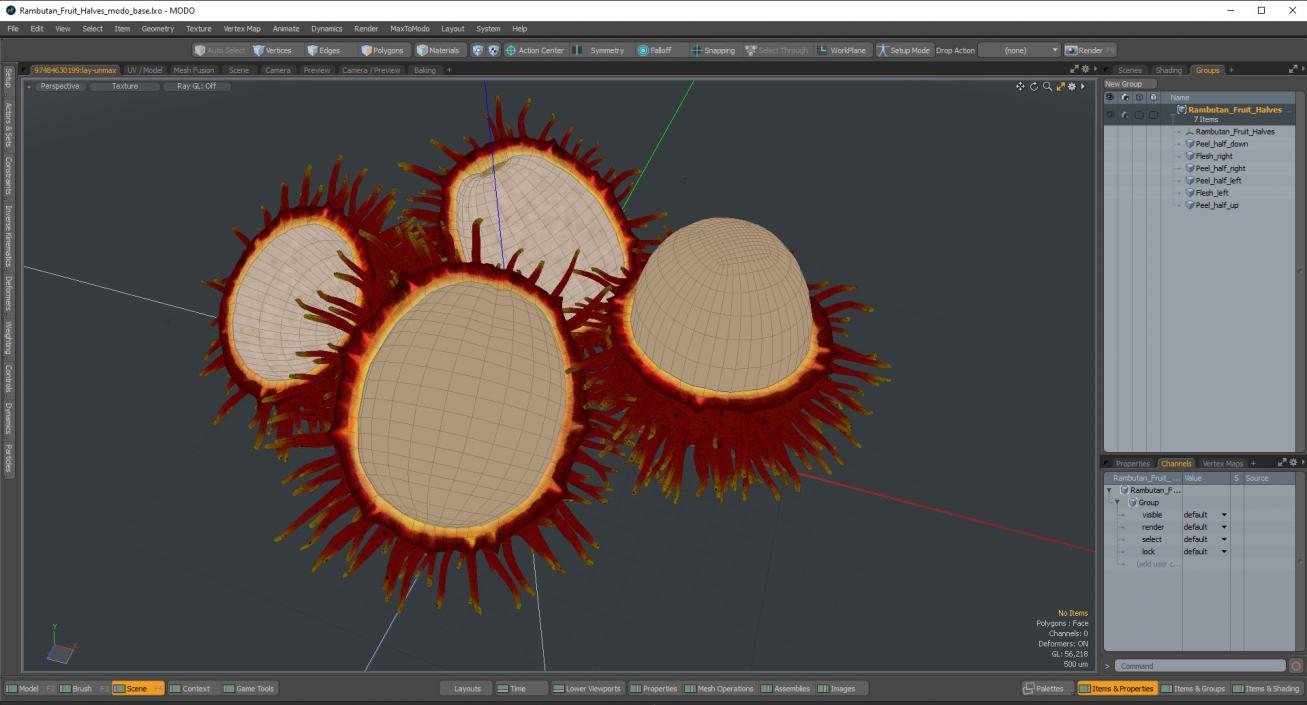 3D Rambutan Fruit Halves