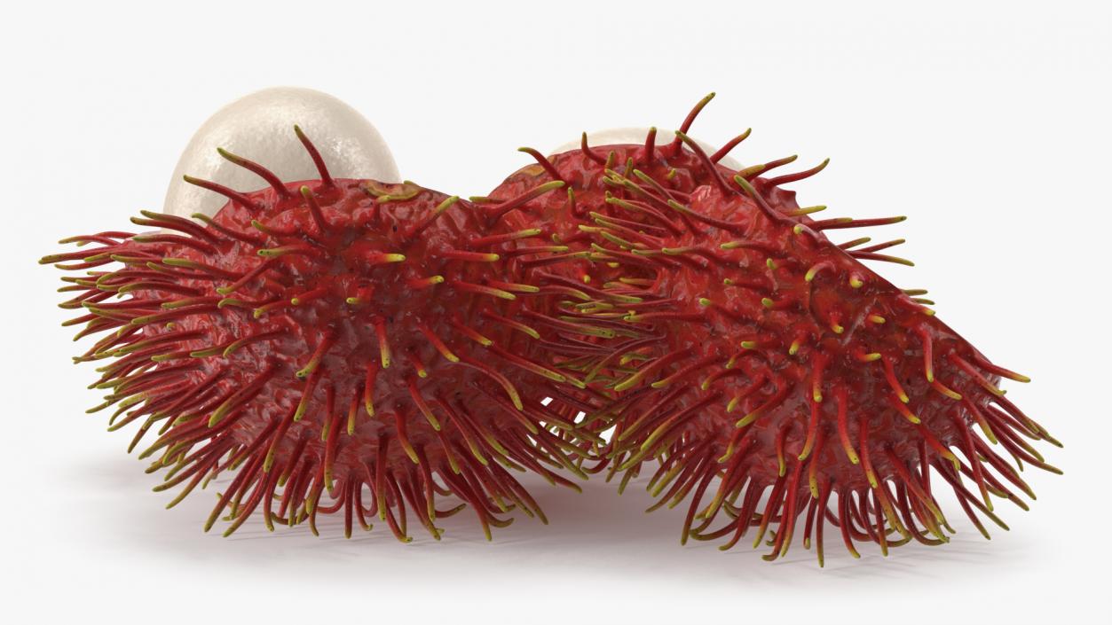 3D Rambutan Fruit Halves