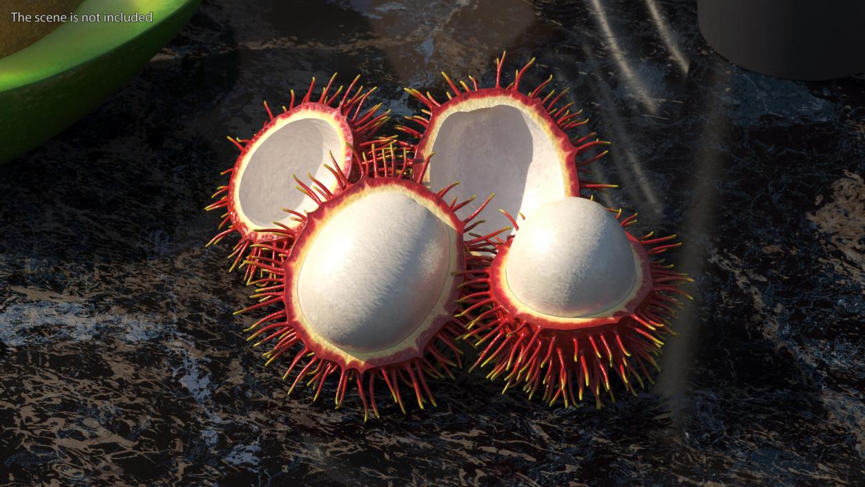 3D Rambutan Fruit Halves