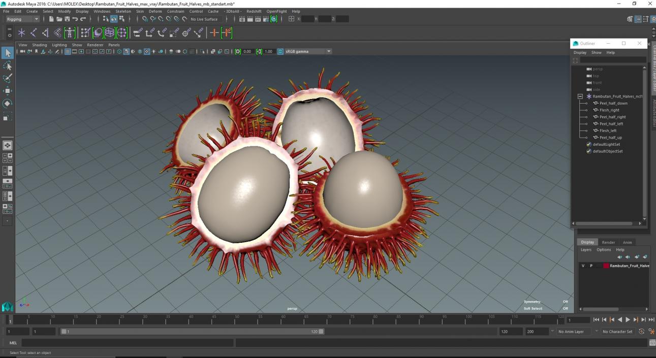 3D Rambutan Fruit Halves