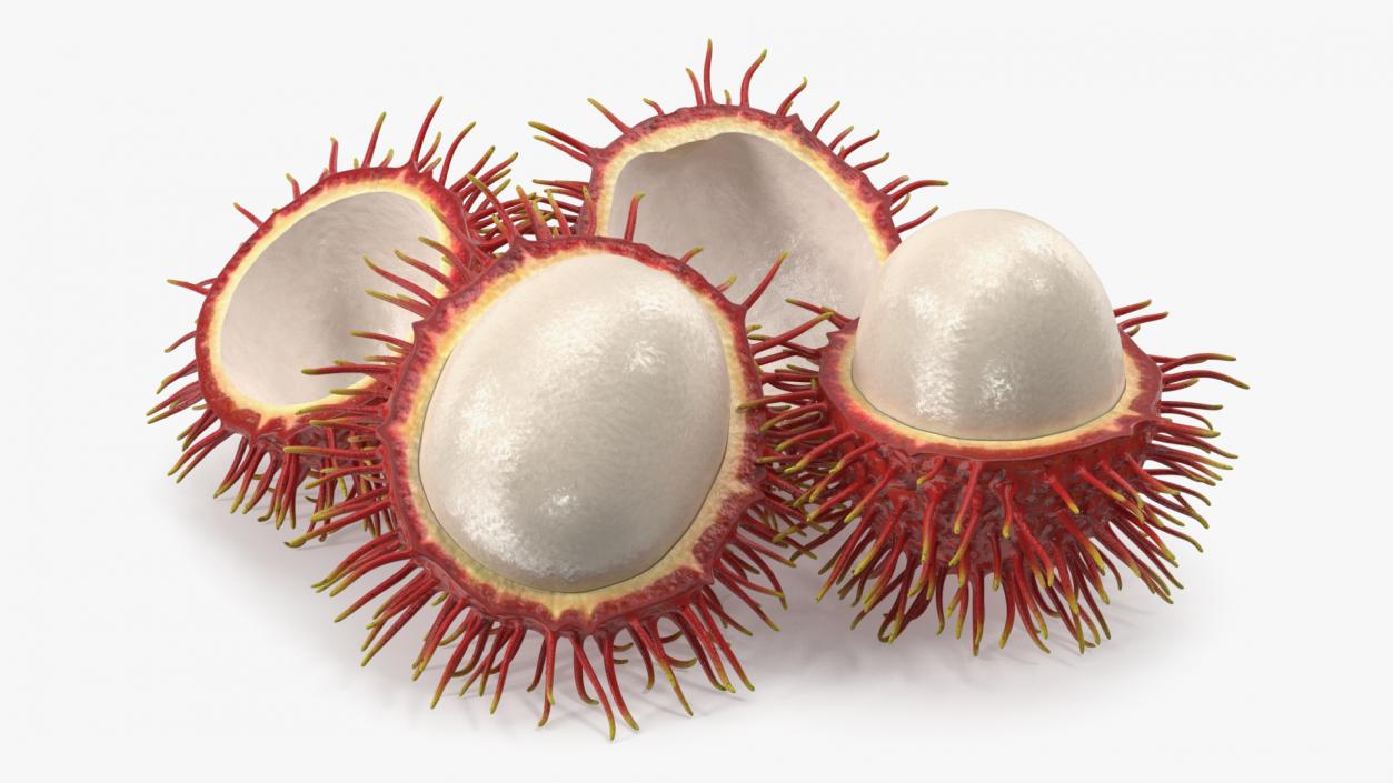 3D Rambutan Fruit Halves