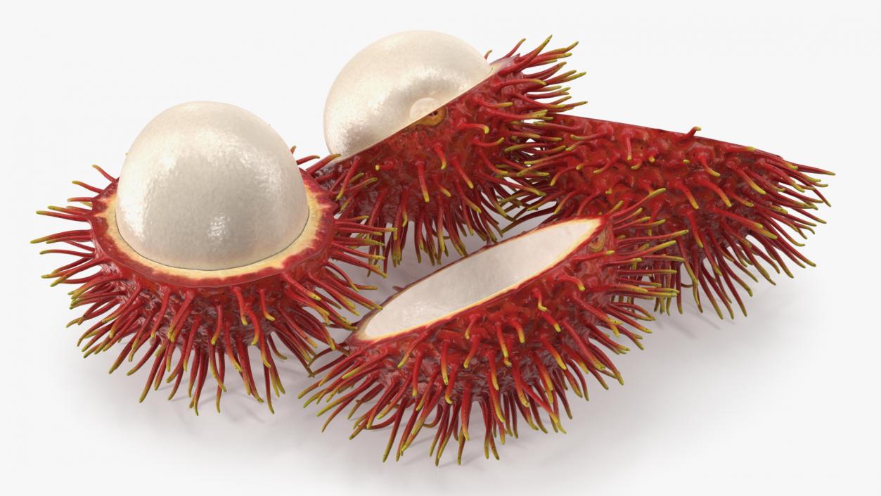 3D Rambutan Fruit Halves