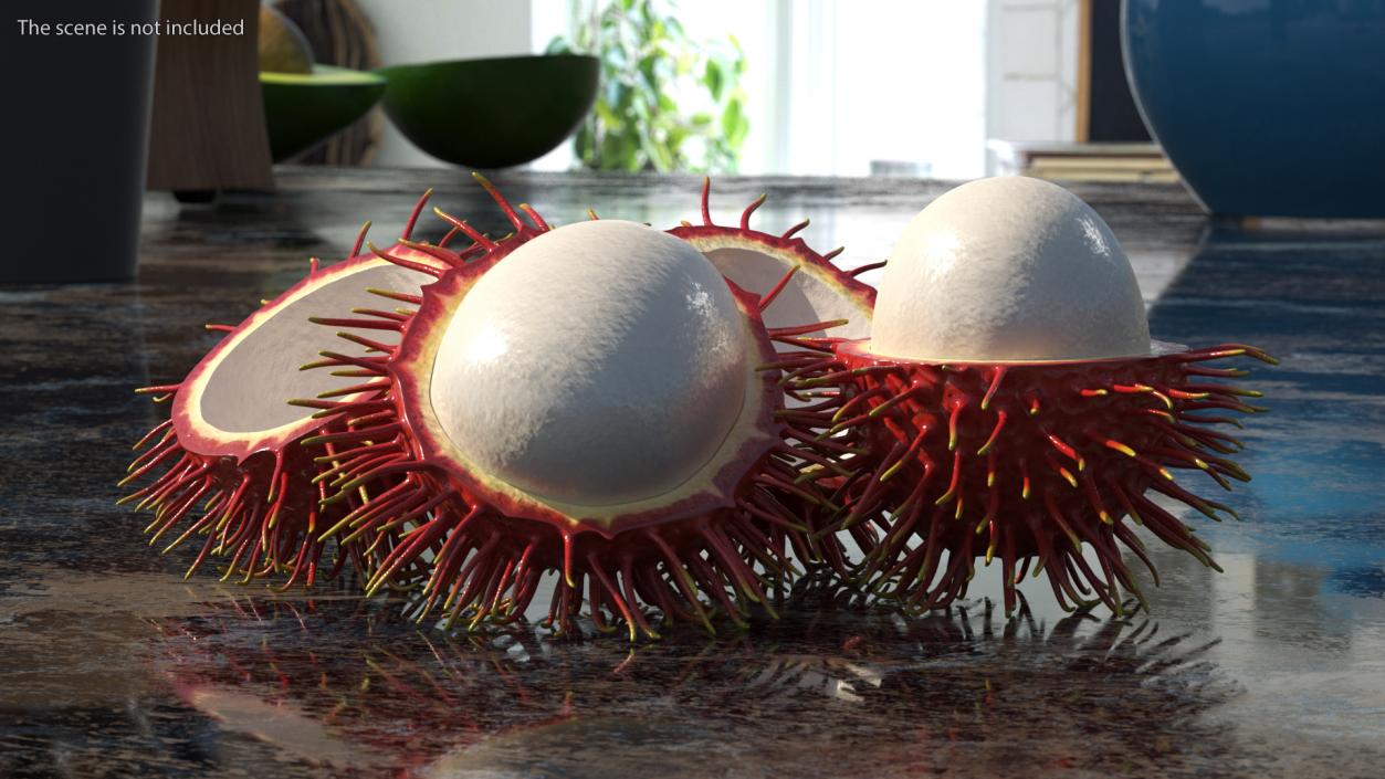 3D Rambutan Fruit Halves