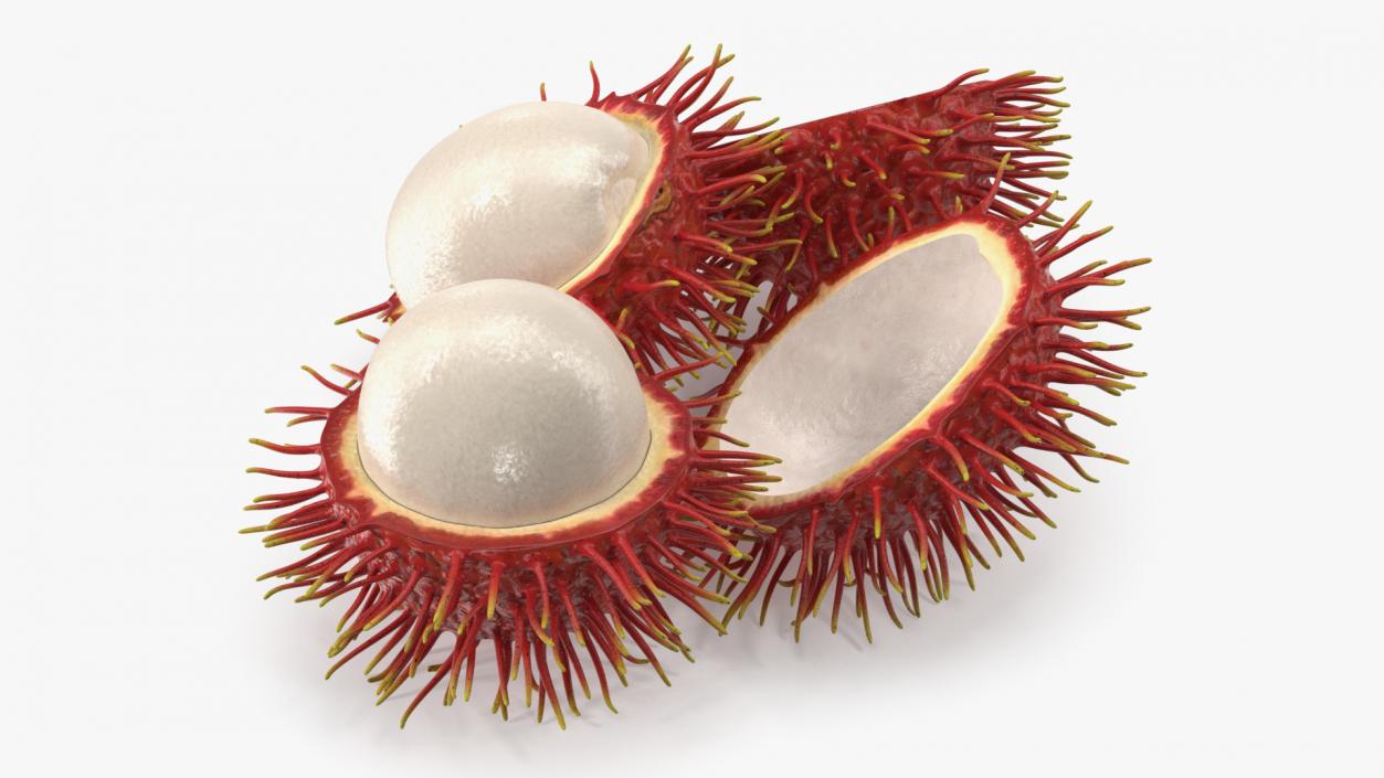 3D Rambutan Fruit Halves