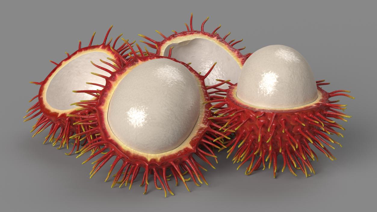 3D Rambutan Fruit Halves