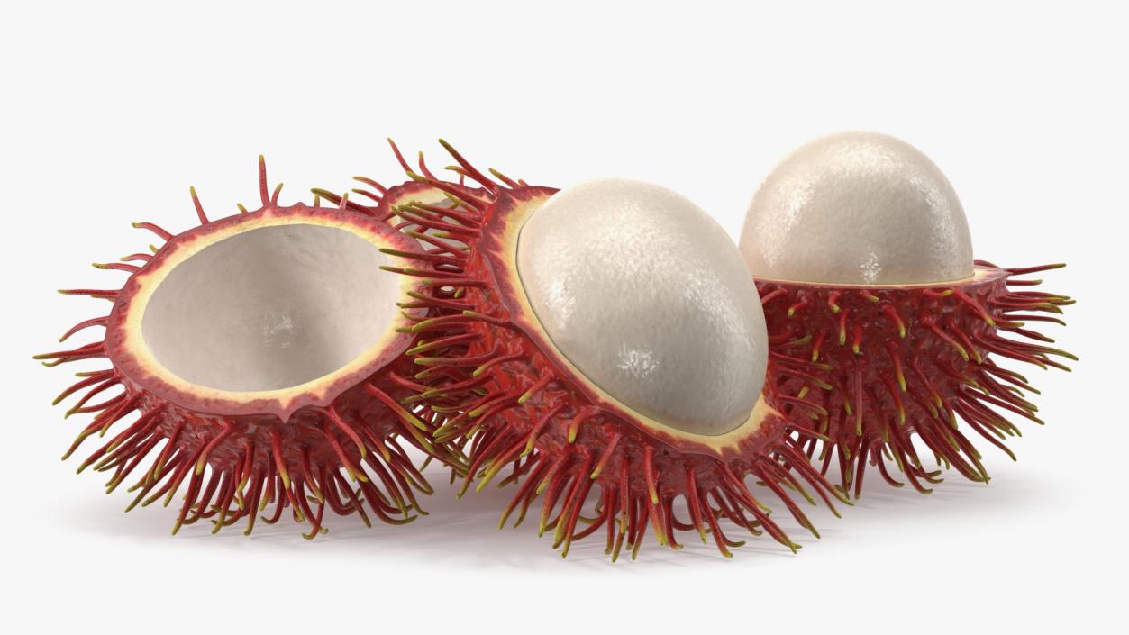 3D Rambutan Fruit Halves