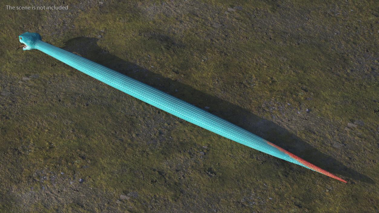 3D model Viper Blue Trimeresurus Rigged