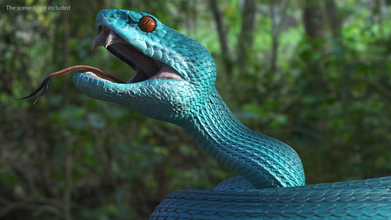 3D model Viper Blue Trimeresurus Rigged