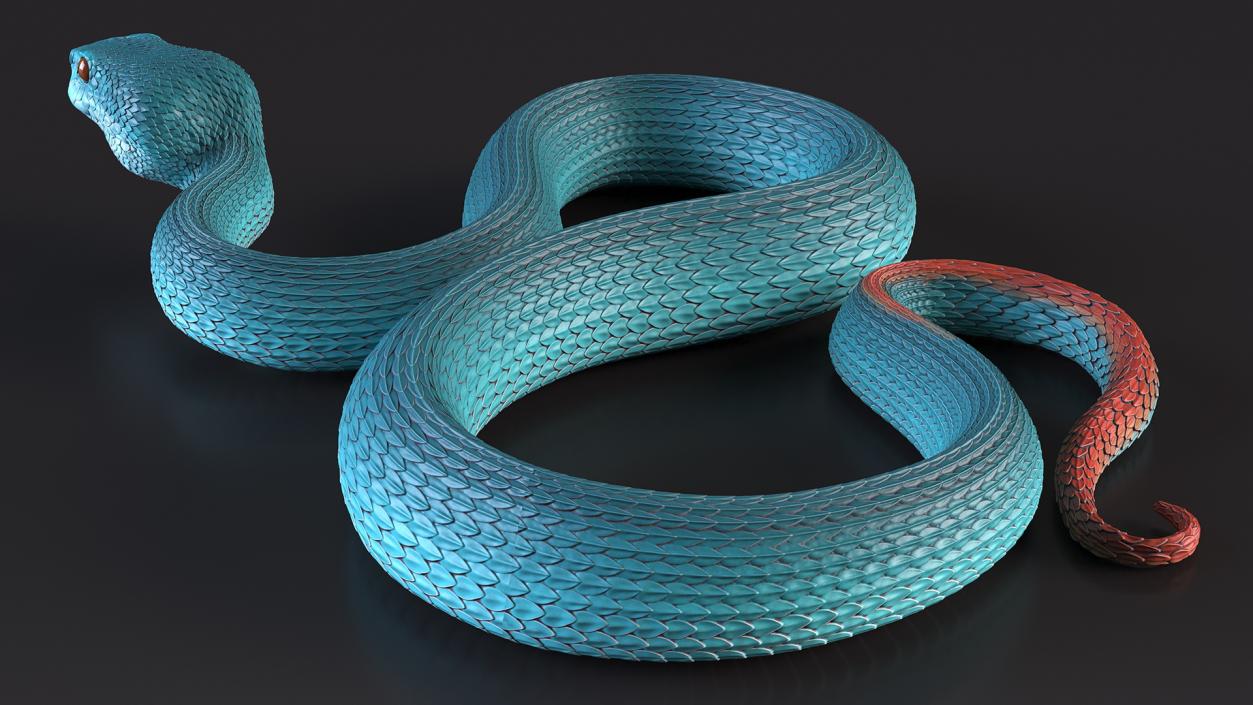 3D model Viper Blue Trimeresurus Rigged