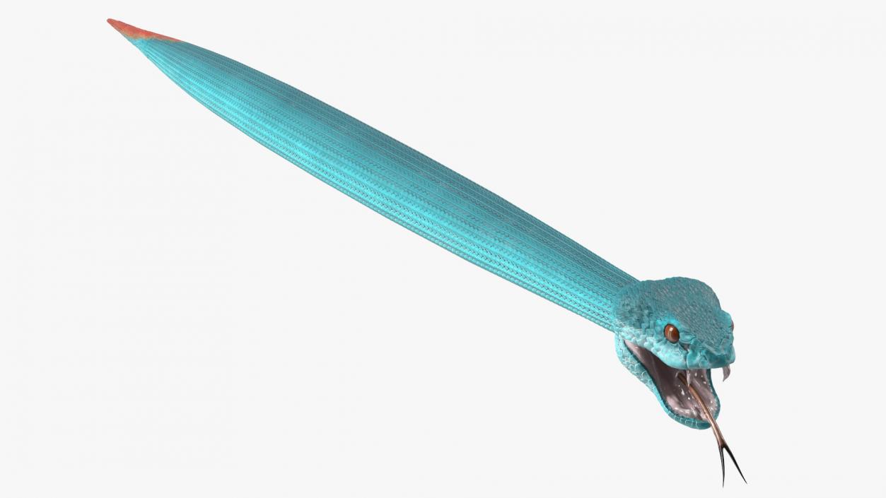 3D model Viper Blue Trimeresurus Rigged