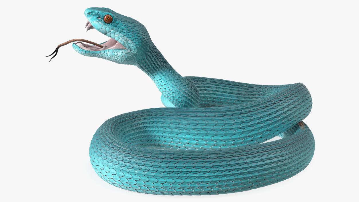 3D model Viper Blue Trimeresurus Rigged