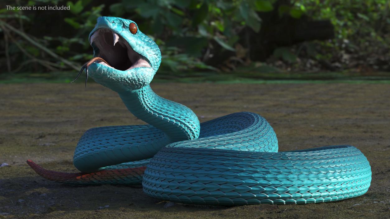 3D model Viper Blue Trimeresurus Rigged