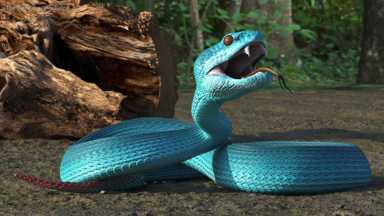 3D model Viper Blue Trimeresurus Rigged