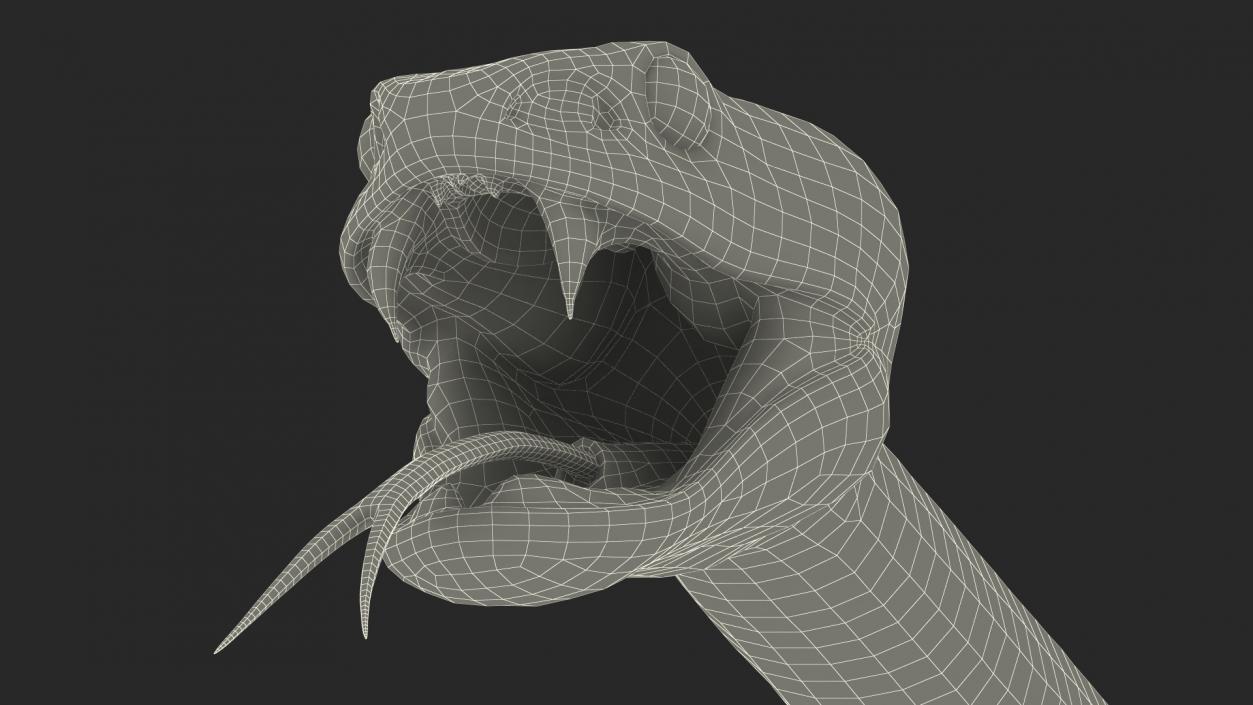 3D model Viper Blue Trimeresurus Rigged