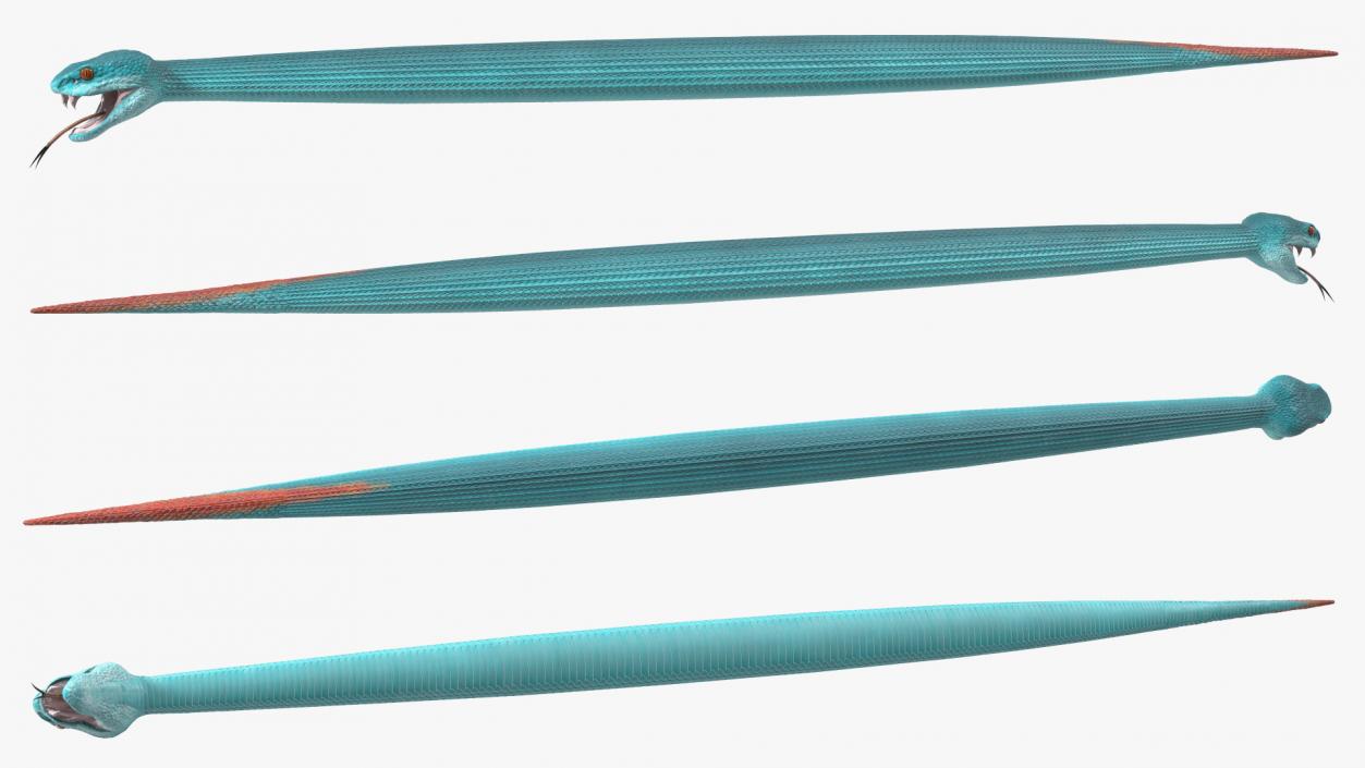 3D model Viper Blue Trimeresurus Rigged