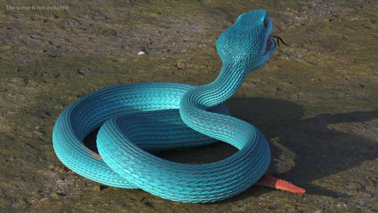 3D model Viper Blue Trimeresurus Rigged