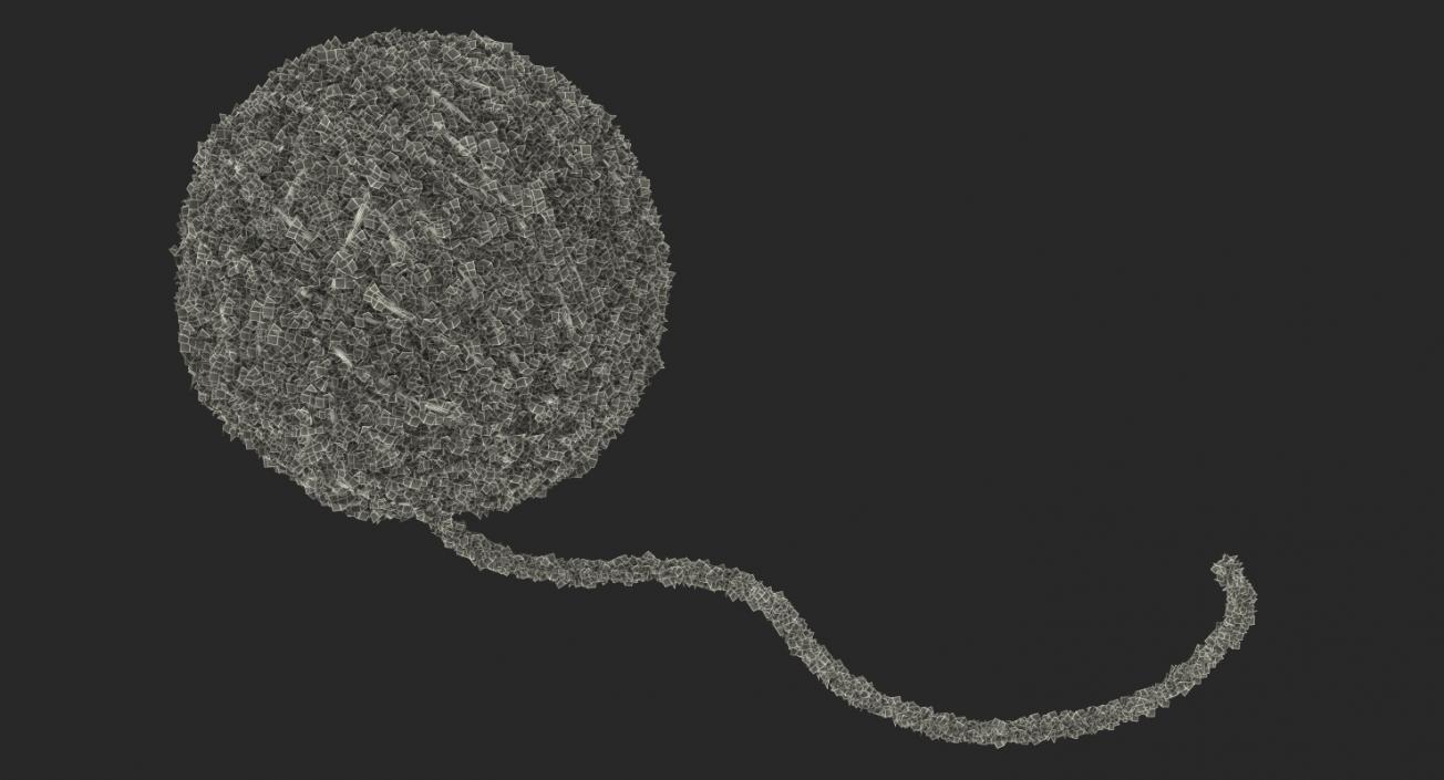 Wool Yarn Ball 3D model