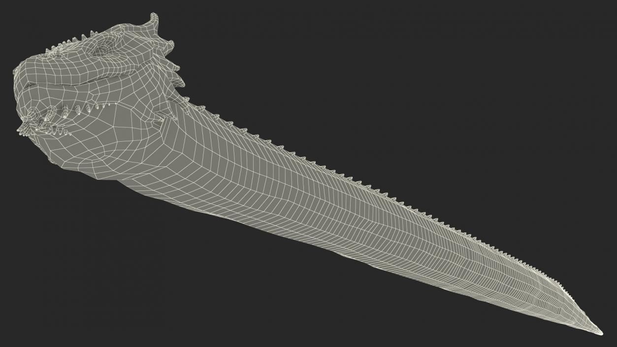 Mythical Serpentine Dragon Rigged for Maya 2 3D model