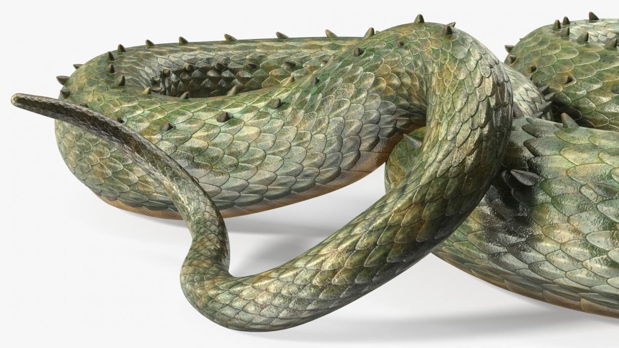 Mythical Serpentine Dragon Rigged for Maya 2 3D model