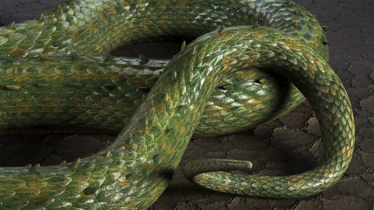 Mythical Serpentine Dragon Rigged for Maya 2 3D model