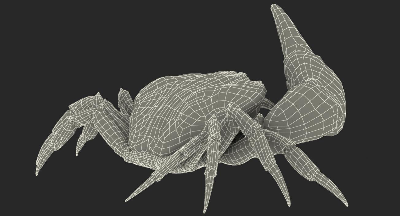 Tasmanian Giant Crab Rigged 3D