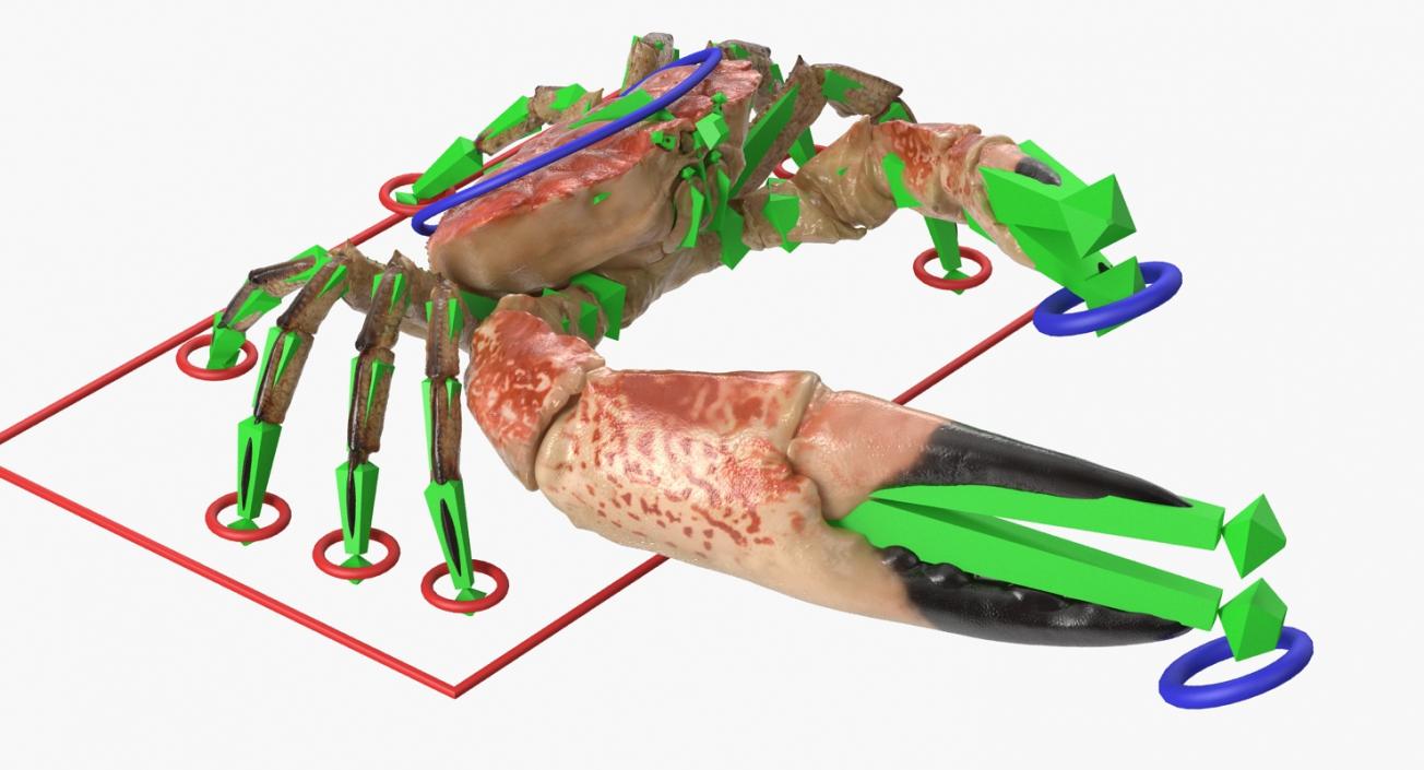 Tasmanian Giant Crab Rigged 3D