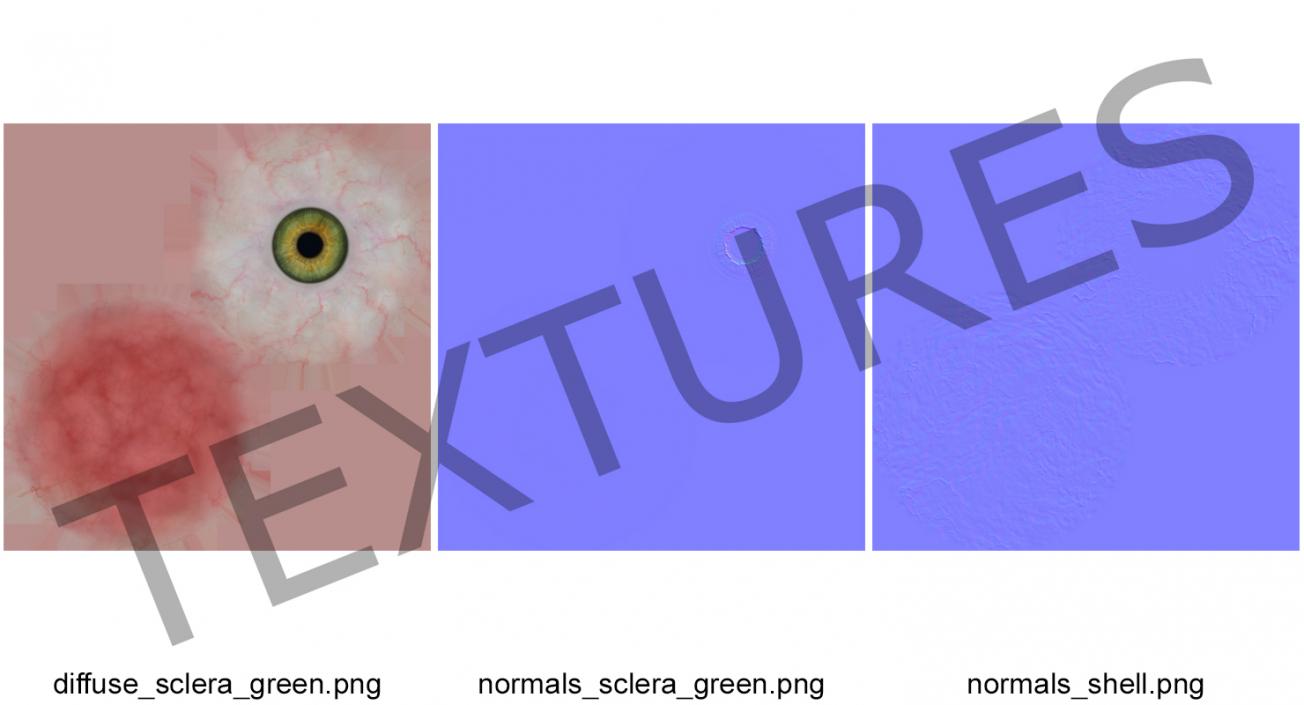 3D model Realistic Human Green Eye