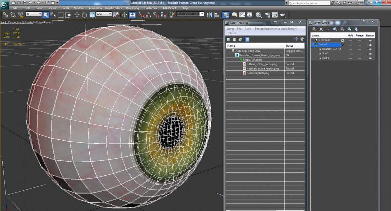 3D model Realistic Human Green Eye