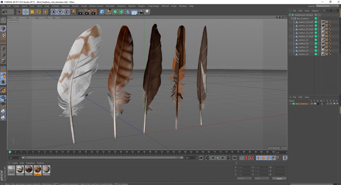 3D Bird Feathers model