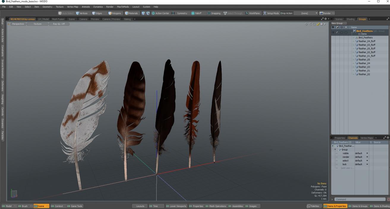 3D Bird Feathers model