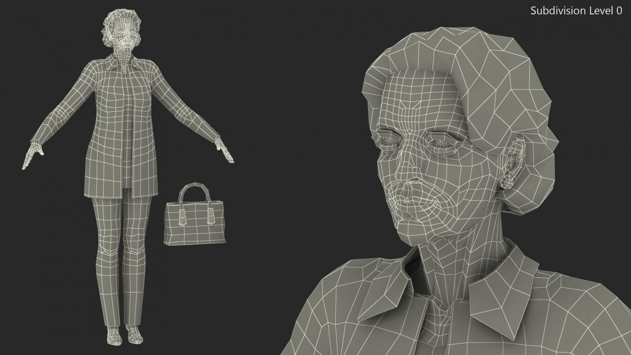 Elderly Lady in Casual Clothes Rigged 3D