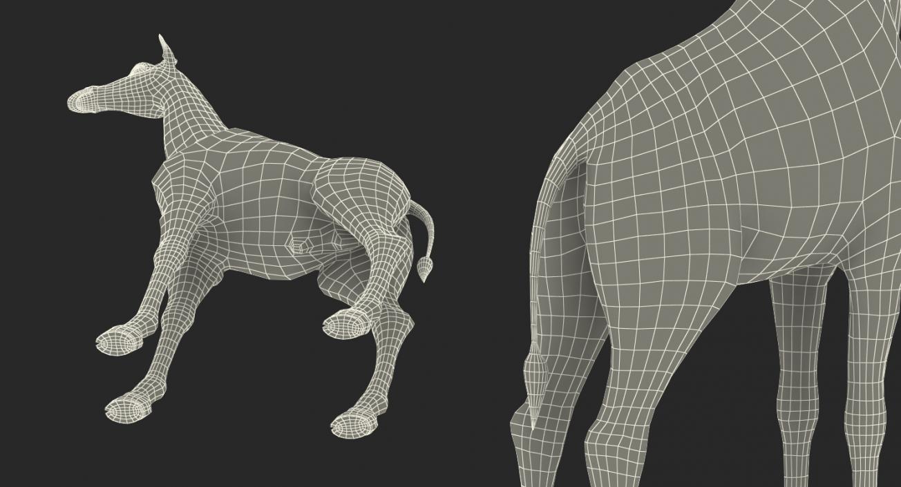 Giraffe Rigged 3D model