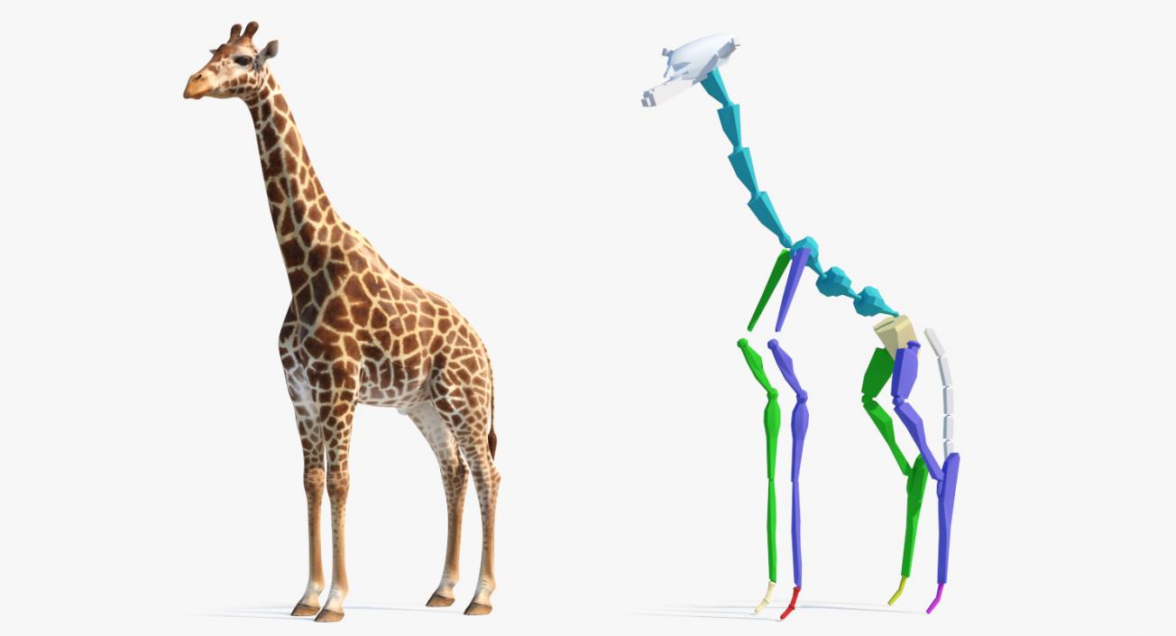 Giraffe Rigged 3D model