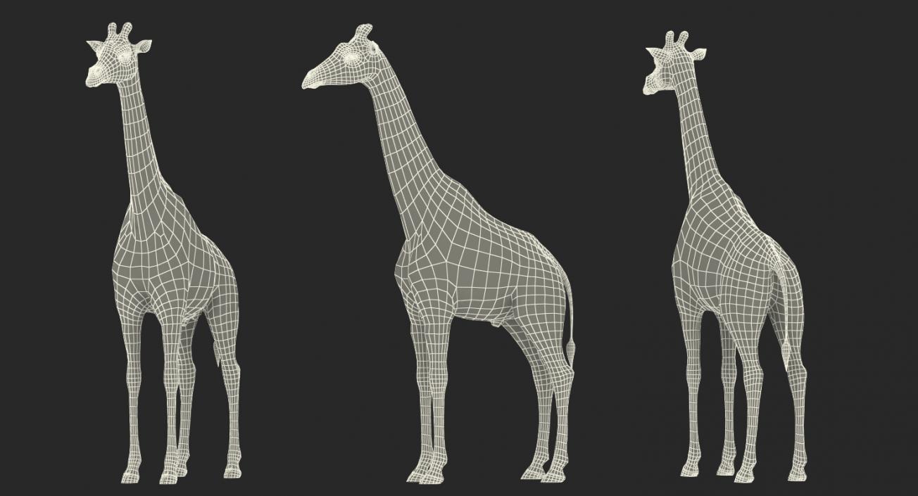 Giraffe Rigged 3D model