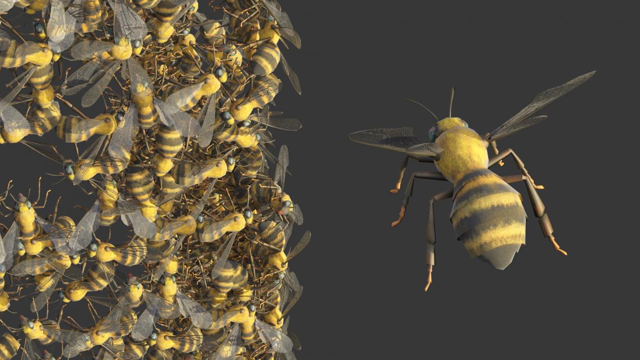 3D model Painted Beehive Brood Box with Bees