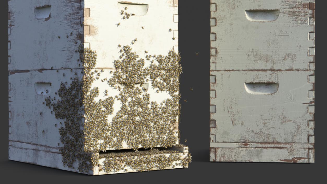 3D model Painted Beehive Brood Box with Bees