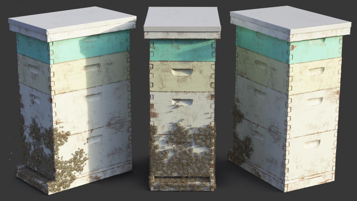 3D model Painted Beehive Brood Box with Bees