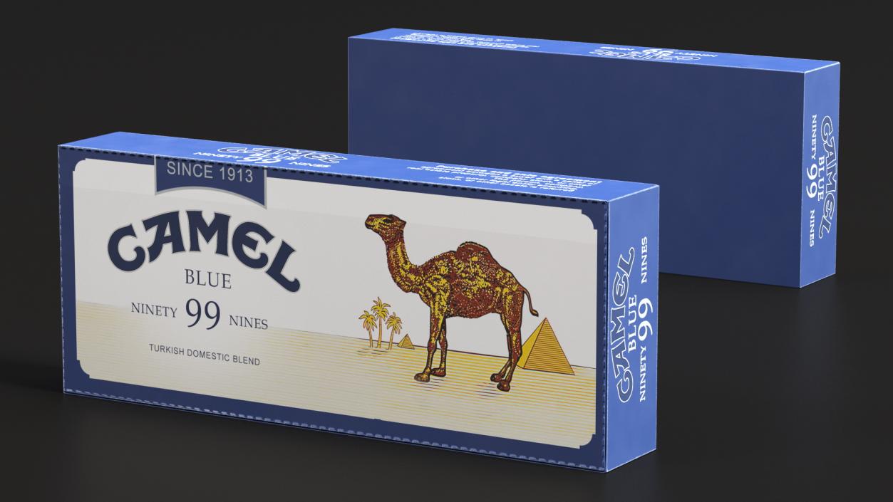 Carton Cigarettes Box Camel 3D