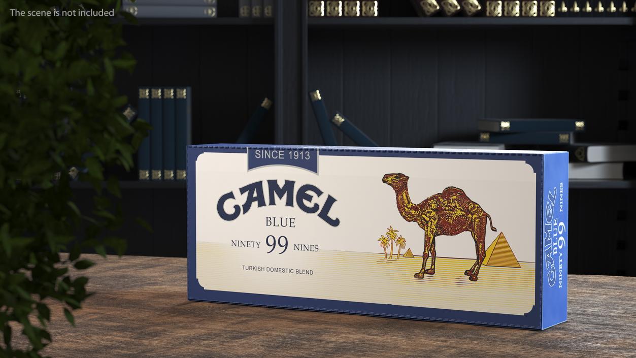 Carton Cigarettes Box Camel 3D