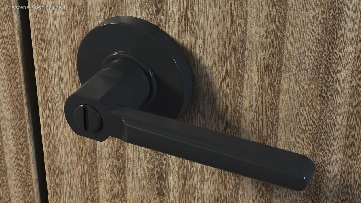 3D model Passage Door Lock with Handle Black