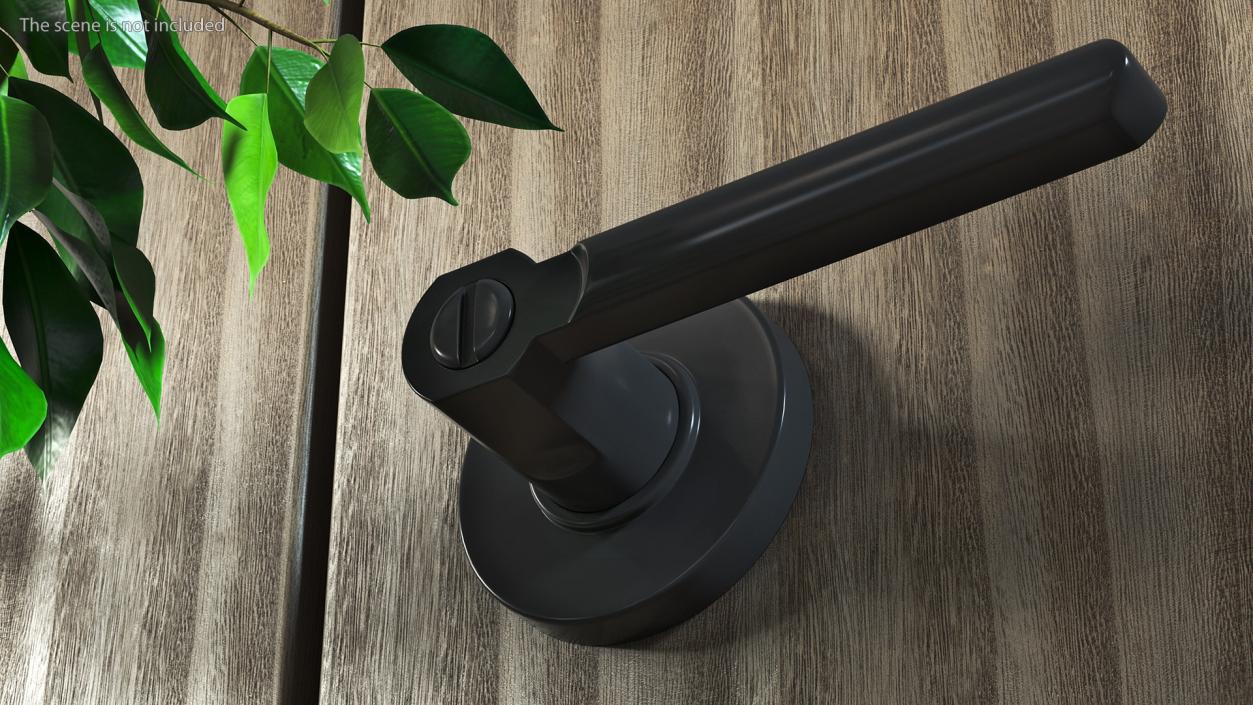 3D model Passage Door Lock with Handle Black