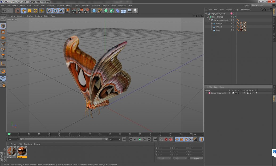 3D Large Atlas Moth