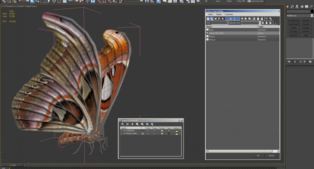 3D Large Atlas Moth