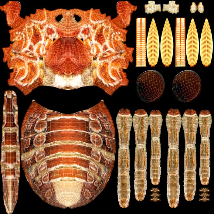 3D Large Atlas Moth