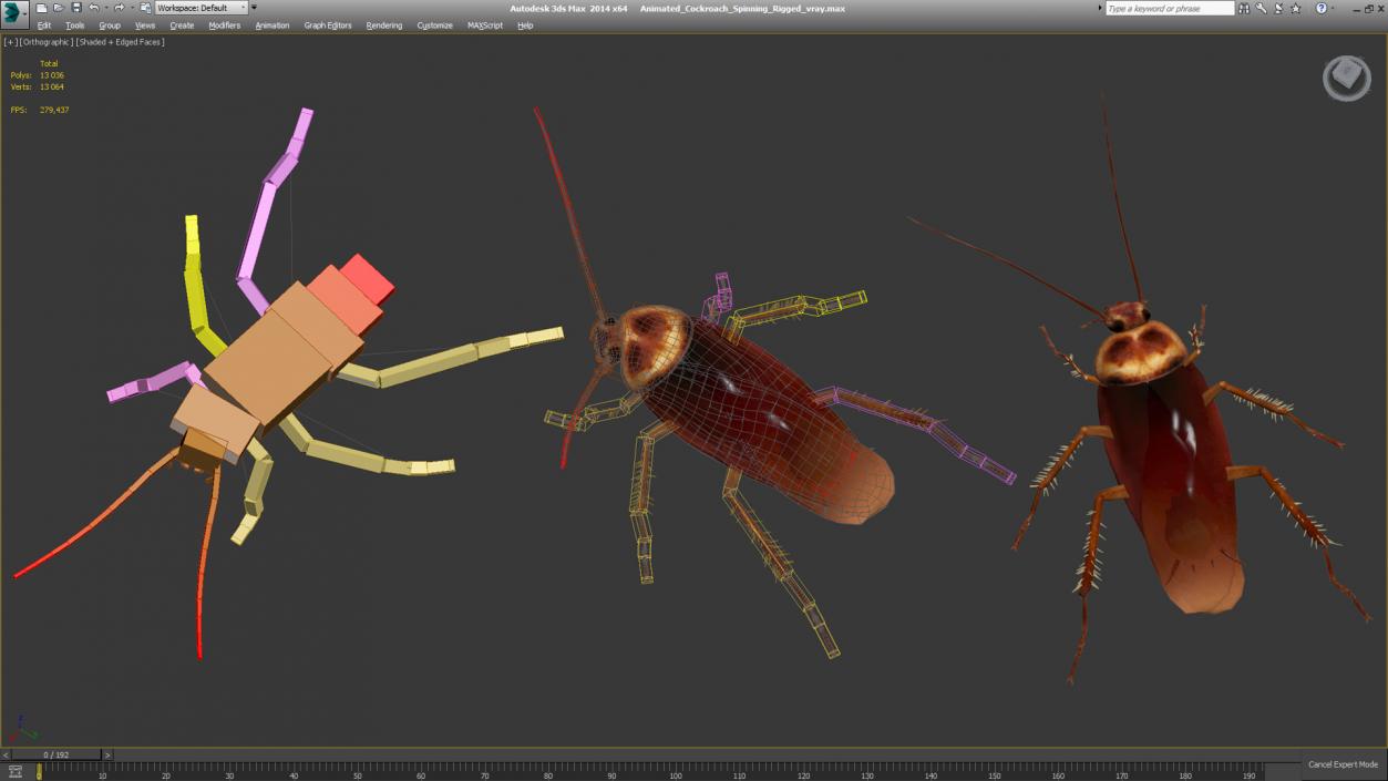 3D Animated Cockroach Spinning Rigged for Cinema 4D model