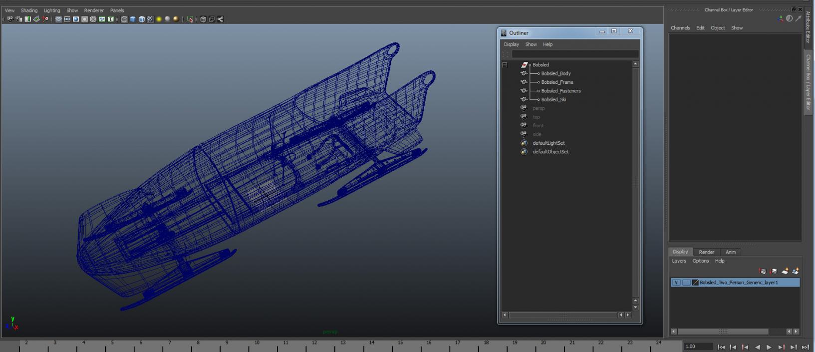 3D Bobsled Two Person Generic