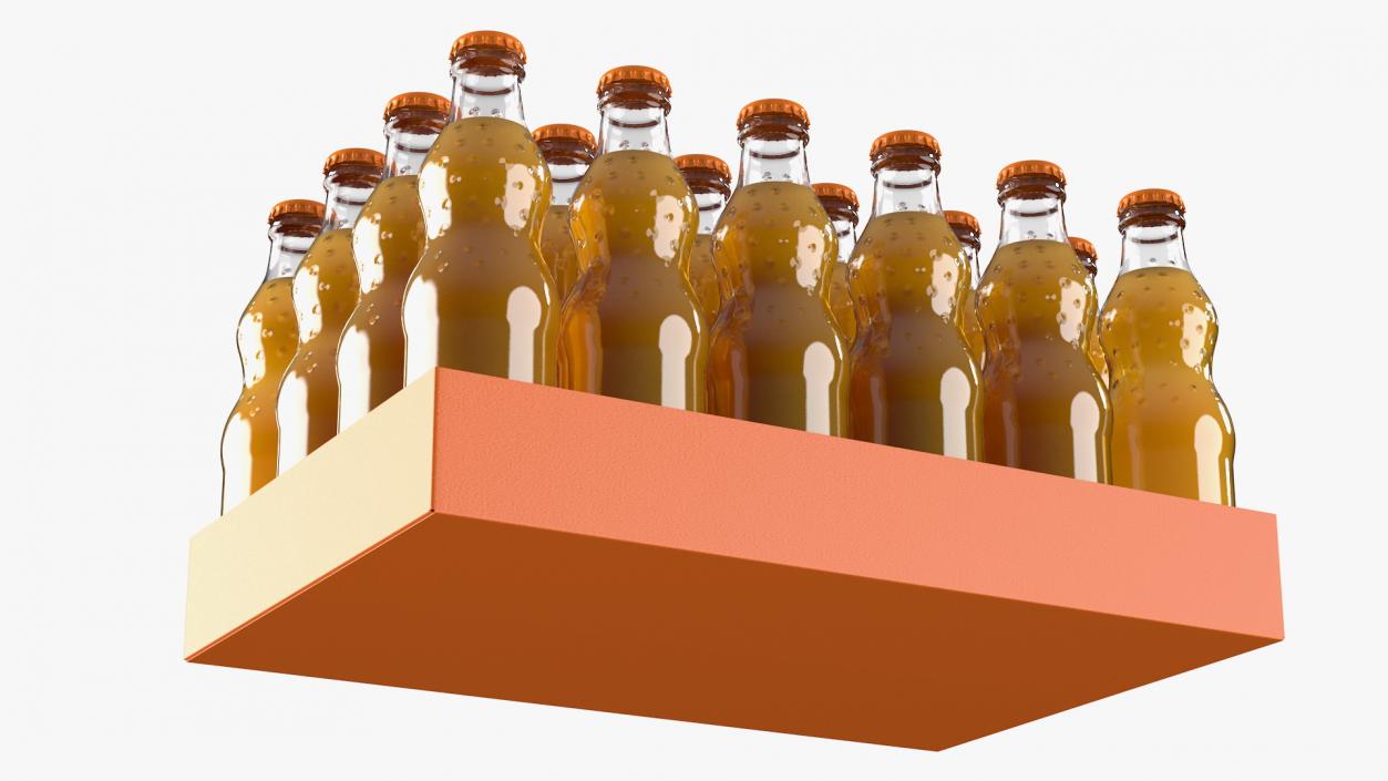 24 Orange Glass Bottle Case 3D