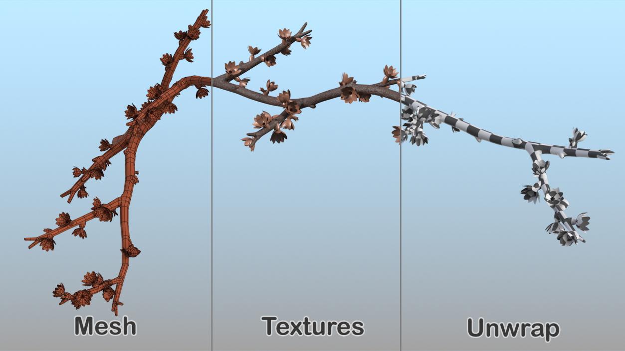 3D Branches Collection 3