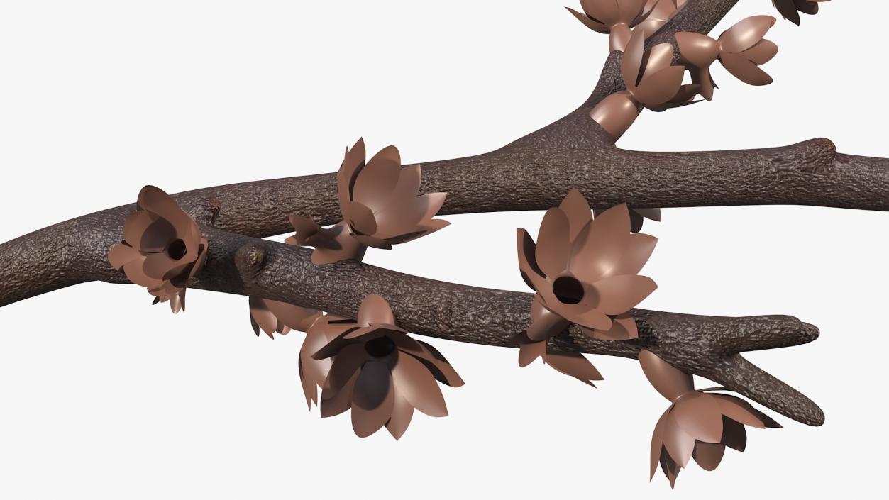 3D Branches Collection 3